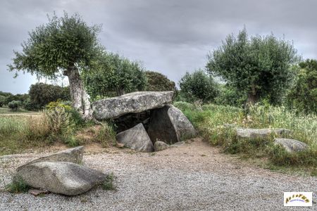 Antas 1 de Olival da Pêga 6