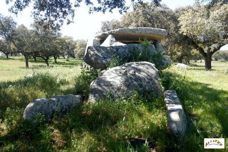 anta paco da vinha-4 wiki