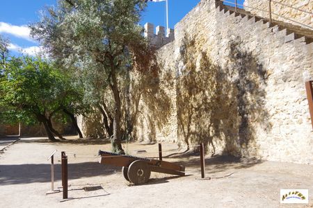 castelo sao jorge 54