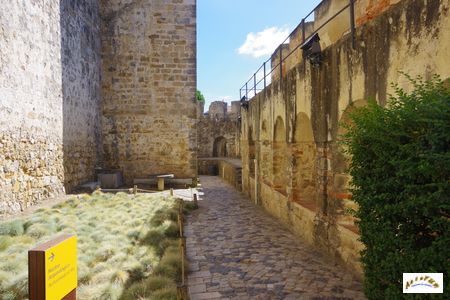 castelo sao jorge 68