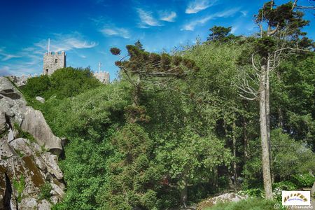castelos dos Mouros 3