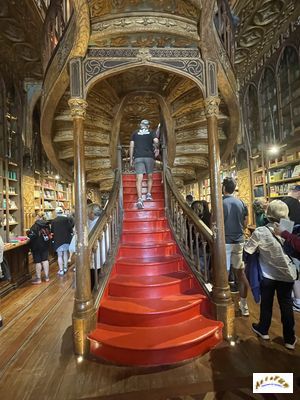 librairie Lello A29