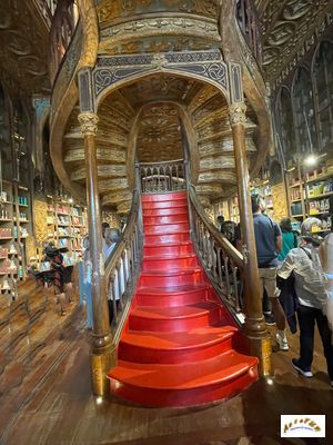 librairie Lello A31