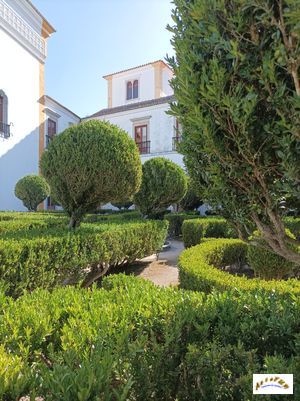 palacio national sintra f48