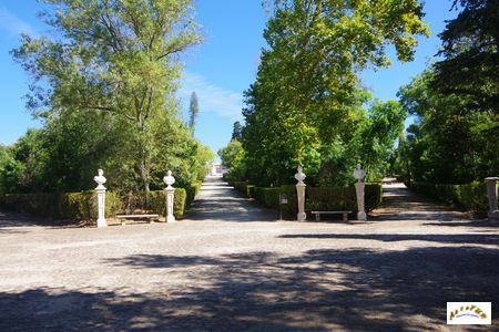 palacio national queluz 87