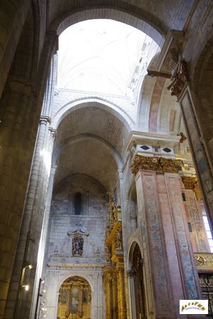 catedral porto 32
