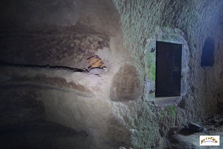 site des 140 caves 23
