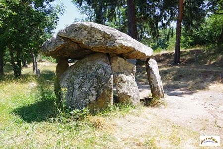dolmen du parc 8