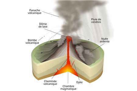 eruption peleen