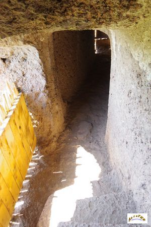 grotte de jonas 81