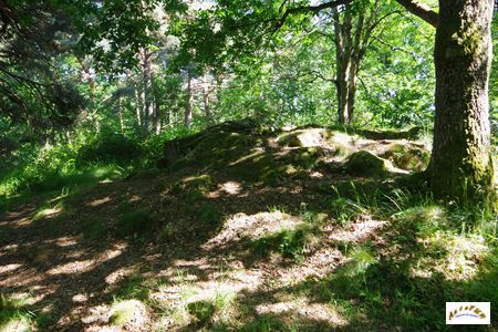 dolmen de pineyre 13