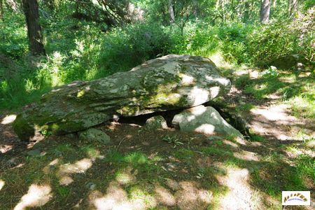dolmen de pineyre 8