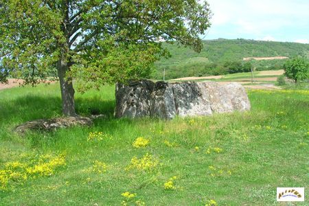 dolmen Ustau du Loup 5