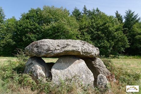 dolmen de boisseyre 1
