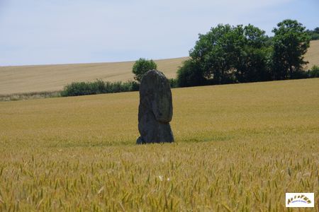 menhir la pierre fichade 4