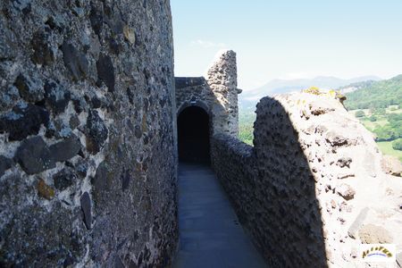 Chateau de Murol 53
