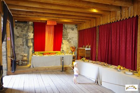 Chateau de Murol 80