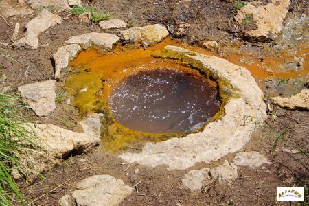 fontaine de dard 4