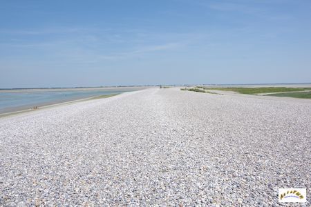 baie de somme 13