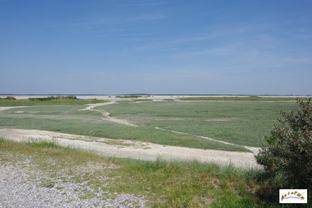 baie de somme 2