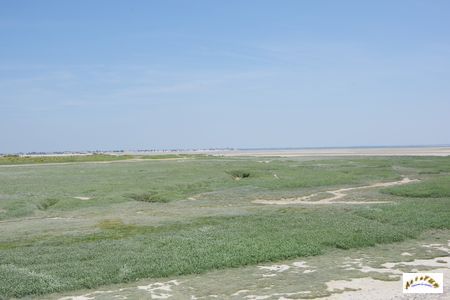 baie de somme 25