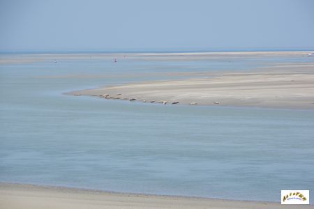 baie de somme 4