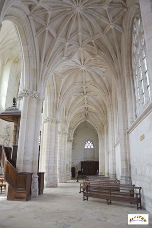 abbatiale st Riquier nef w24