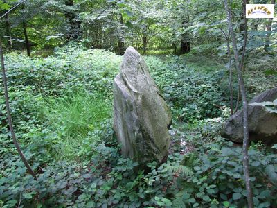 le menhir m 11