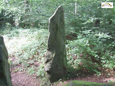 le menhir m 15