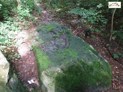 le menhir m 16