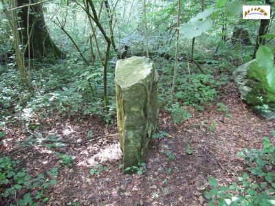 le menhir m 20