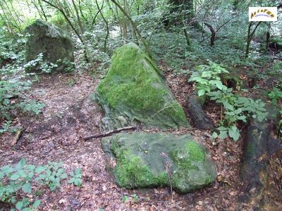 le menhir m 21