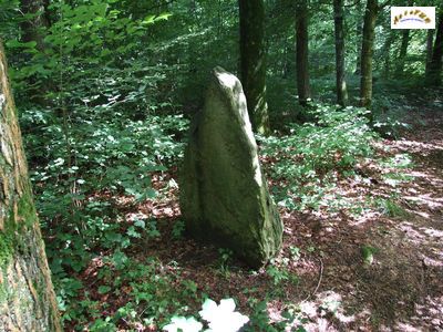 le menhir m 22