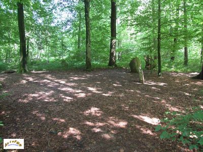 les menhirs m 3 et m 5