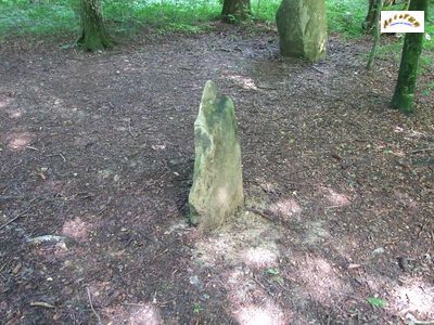 le menhir m 4