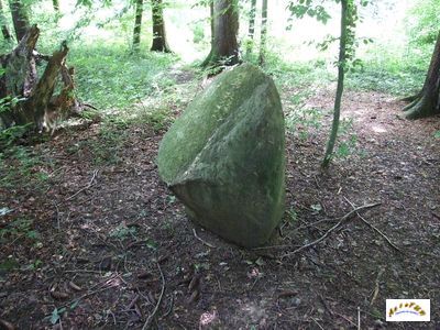 le menhir m 5