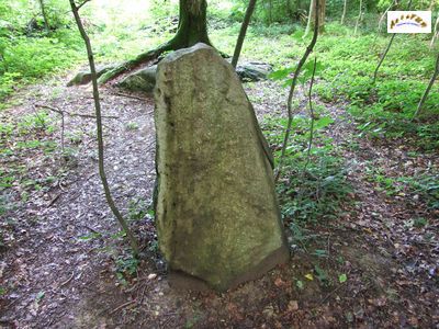 le menhir m 7