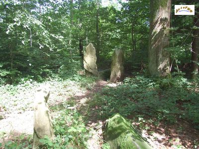 les menhirs m 15 et m 16