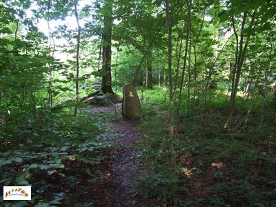 le menhir m 7