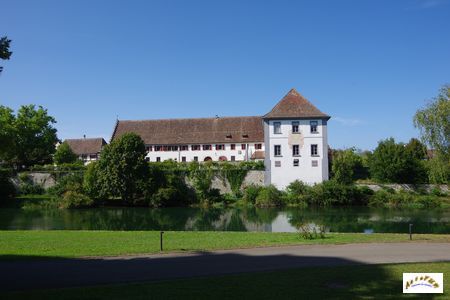 kloster insel 29