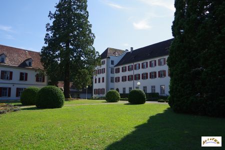 kloster insel 31