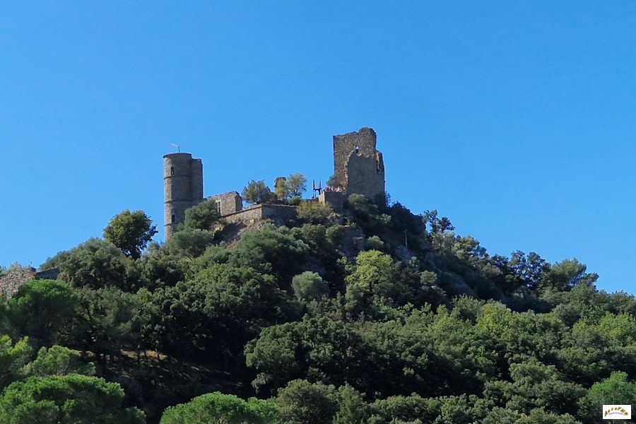 grimaud chateau 13