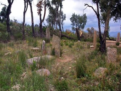 menhirs terriers