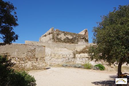 fort alycastre 24