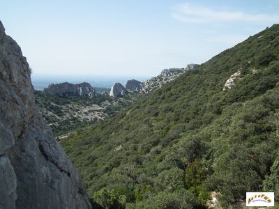 entre les dentelles