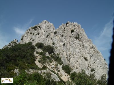 dentelles sarrasines