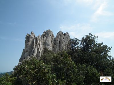 dentelles