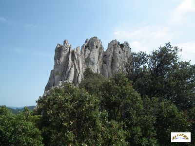 dentelles sarrasine