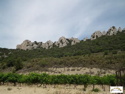 Dentelles sarrasines