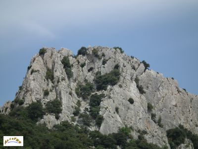 Dentelles Sarrasines